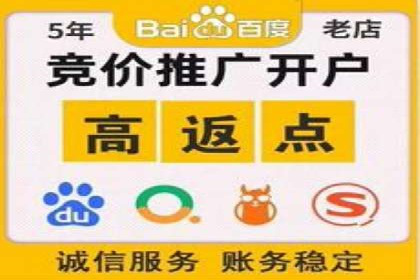 案例解读：SEM推广托管助力品牌崛起